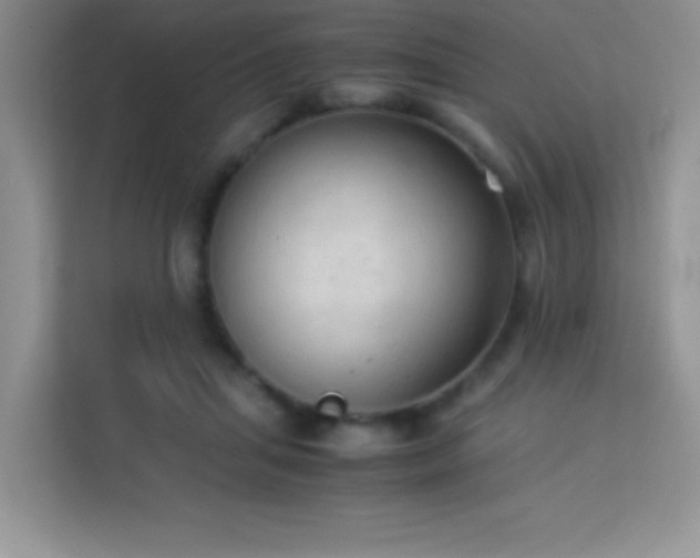 X0000114090455200910051428