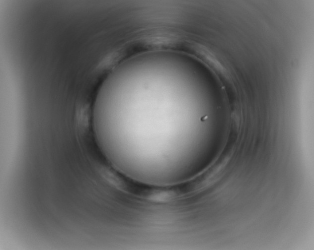X0000114090458200910051428