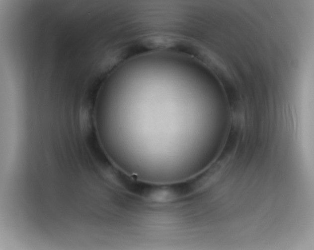 X0000114090460200910051428