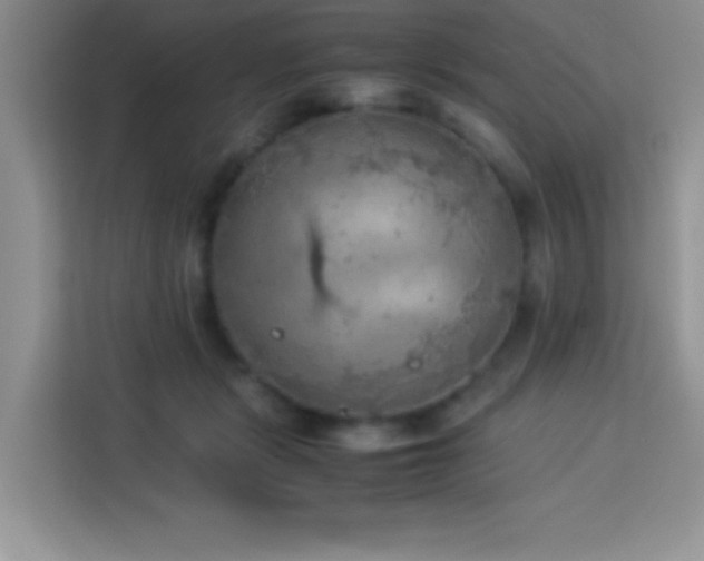 X0000114090461200910051428