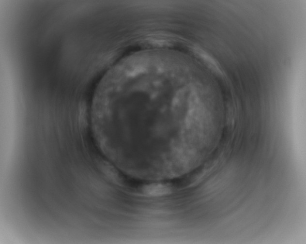 X0000114090465200910051428