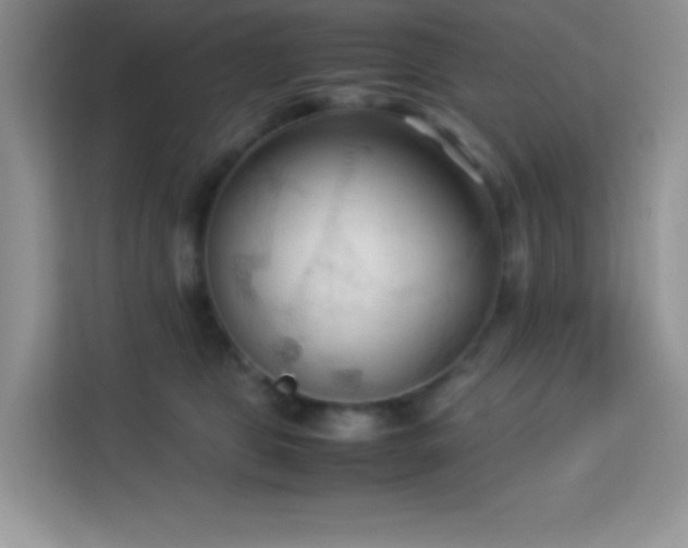 X0000114090469200910051429