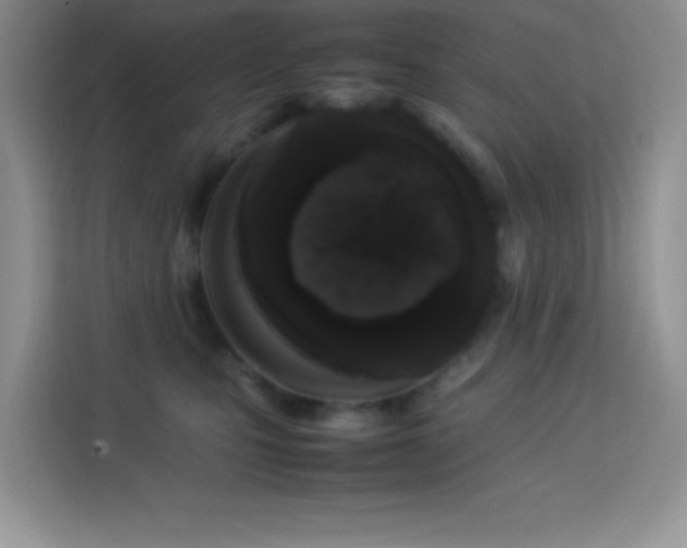 X0000114090471200910051429