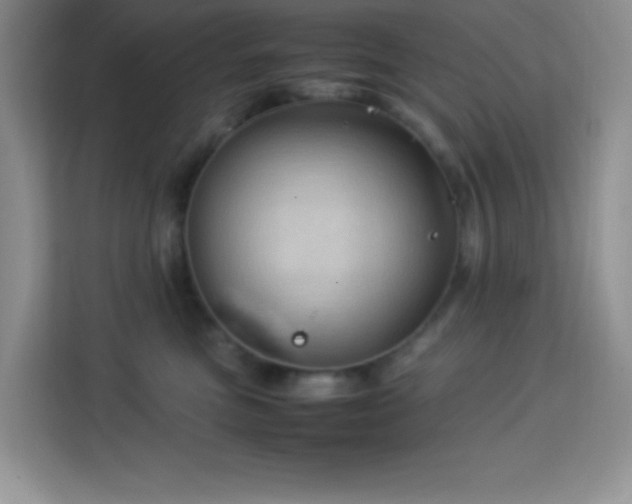 X0000114090473200910051429