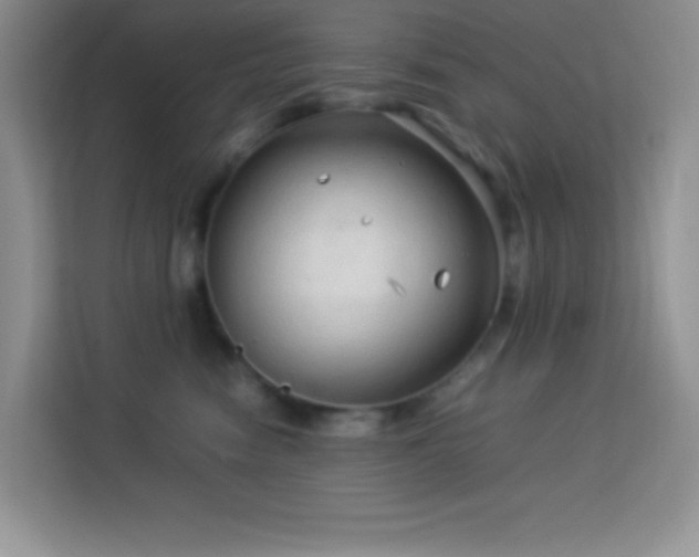 X0000114090474200910051429