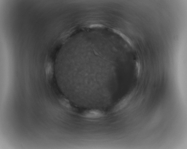 X0000114090475200910051429