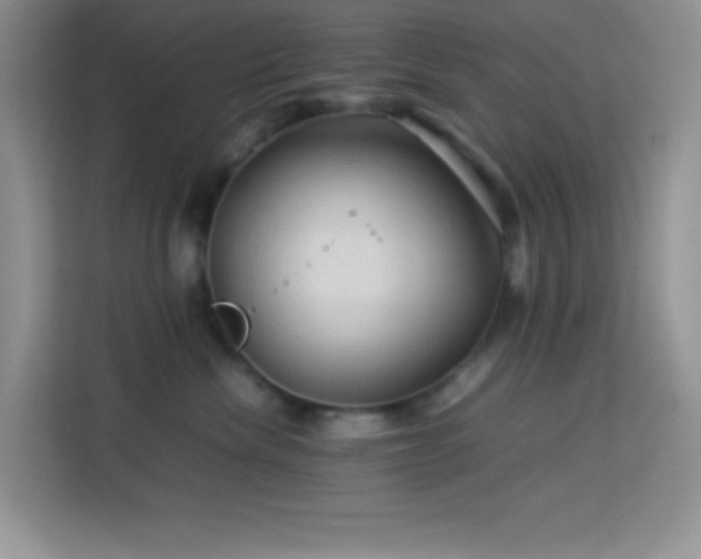 X0000114090476200910051429