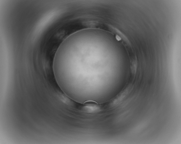 X0000114090477200910051429