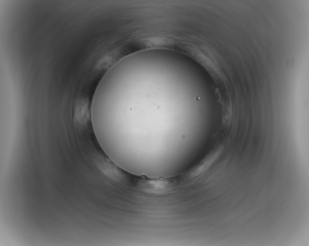 X0000114090478200910051429