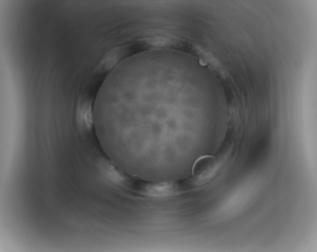 X0000114090479200910051429