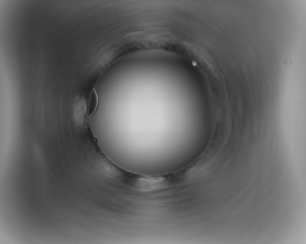 X0000114090480200910051429