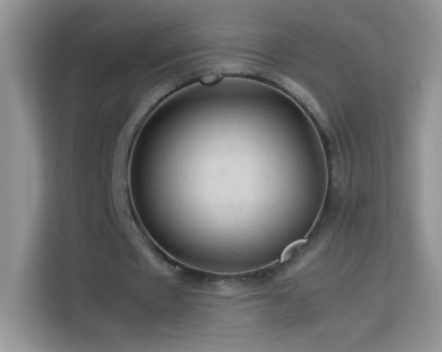 X0000114090481200910051428