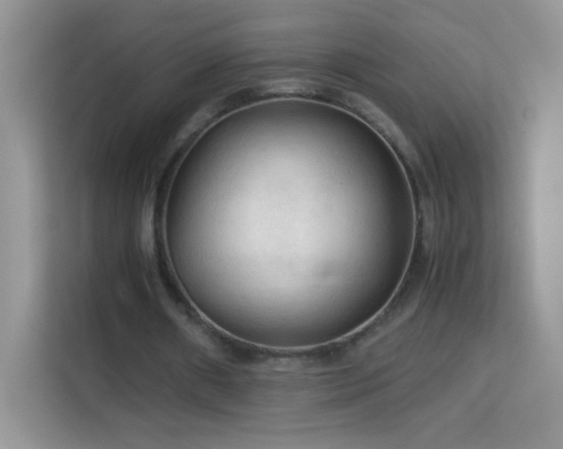 X0000114090482200910051428