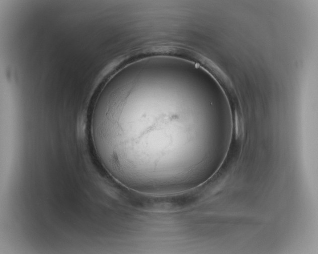 X0000114090483200910051428