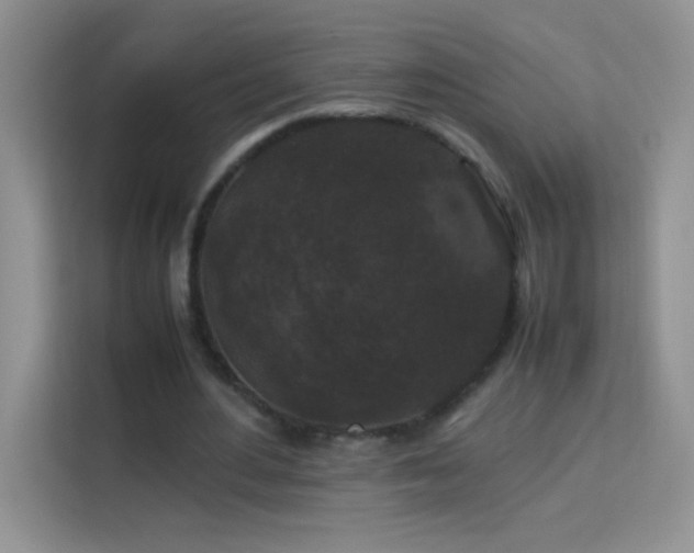 X0000114090484200910051428