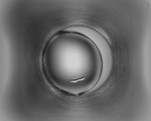 X0000114090485200910051428