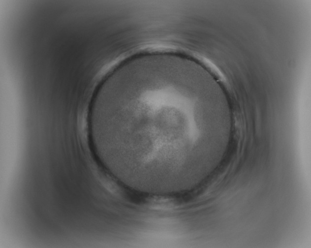 X0000114090487200910051428