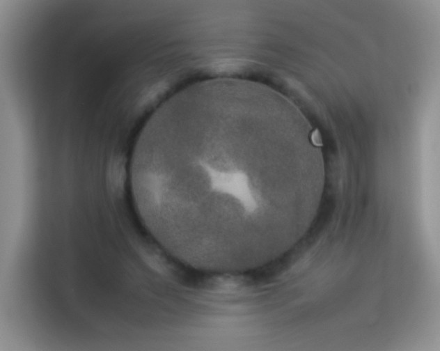 X0000114090495200910051428