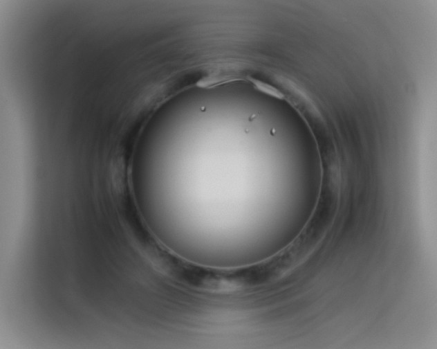 X0000114090498200910051428