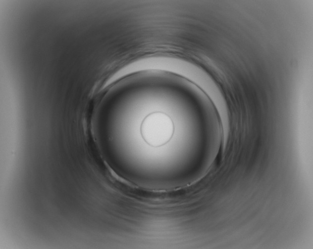 X0000114090500200910051428
