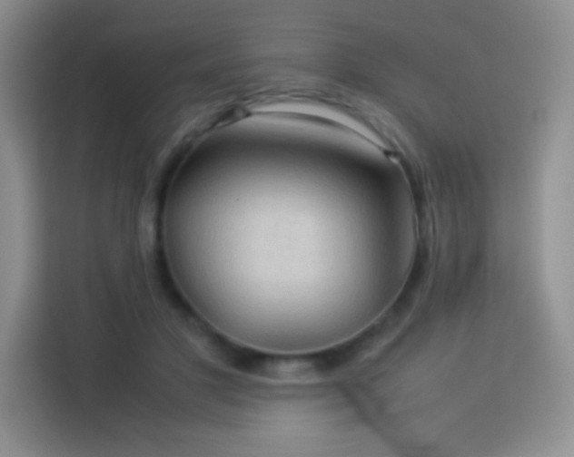 X0000114090501200910051428