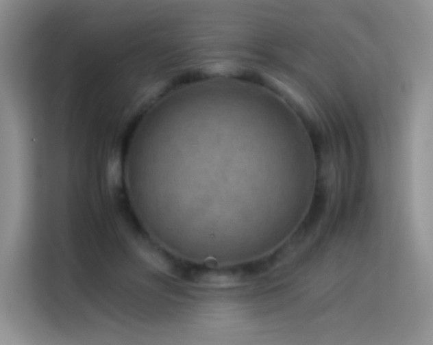 X0000114090502200910051428