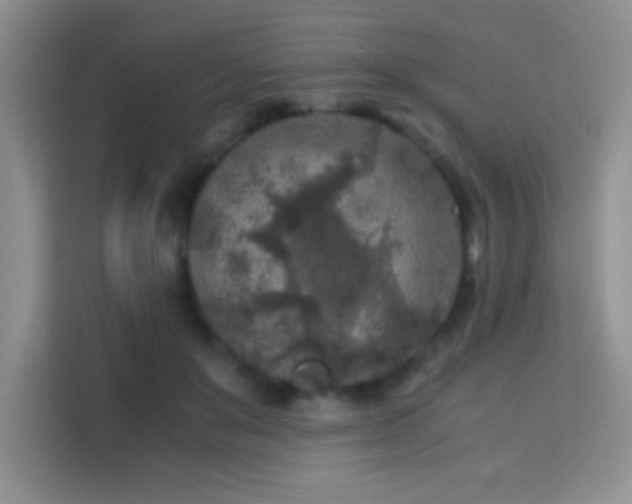X0000114090503200910051428