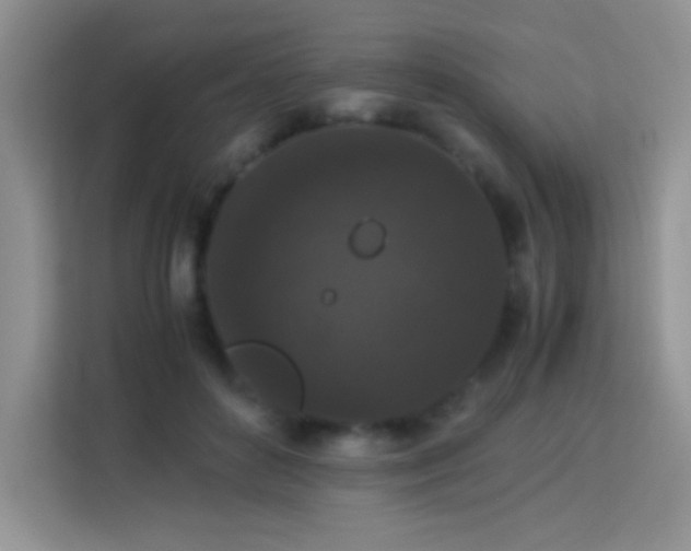 X0000114090504200910051428