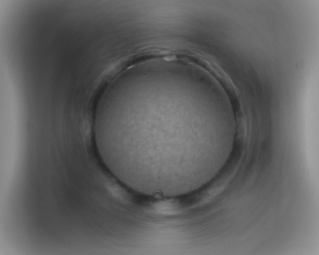 X0000114090505200910051428