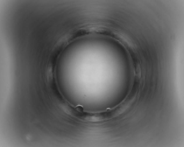 X0000114090506200910051428