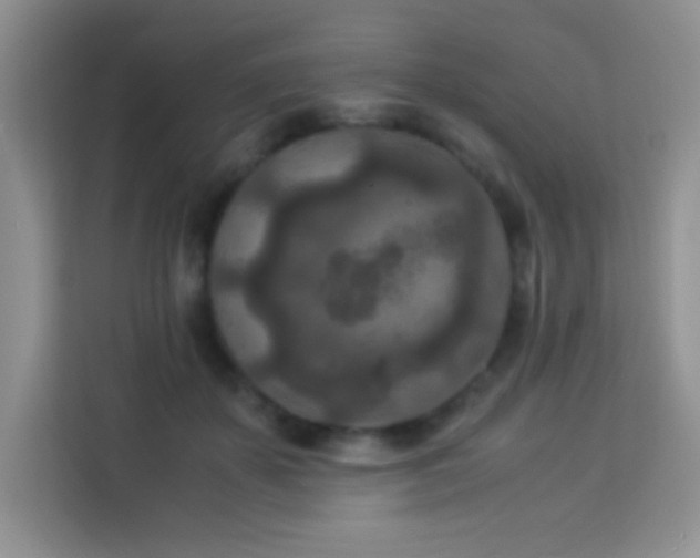 X0000114090507200910051428