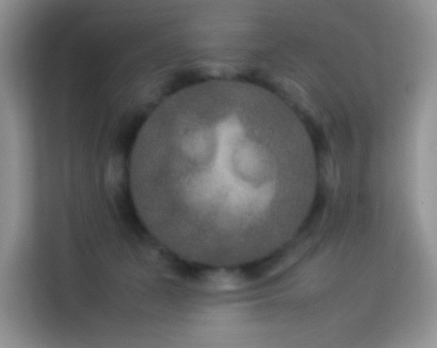 X0000114090511200910051428