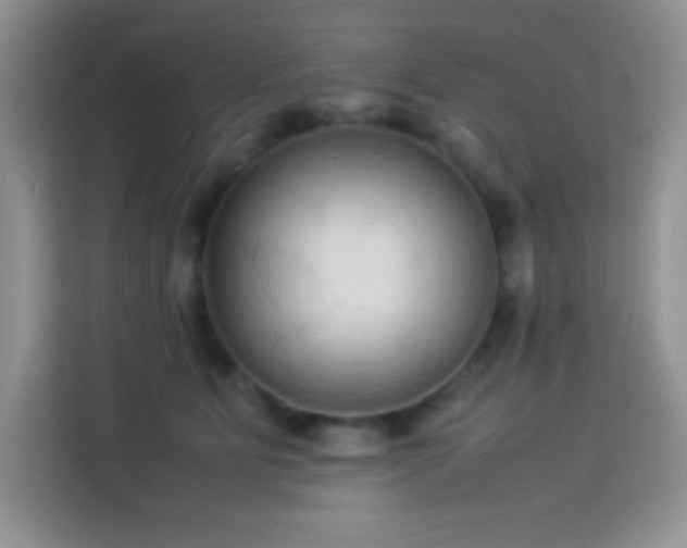 X0000114090515200910051428