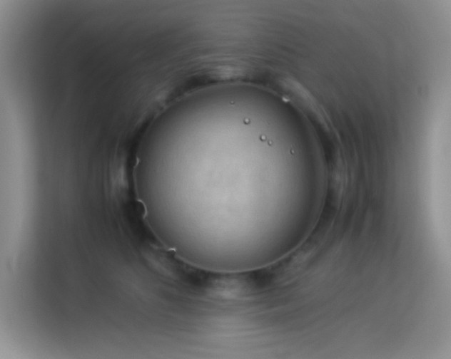 X0000114090516200910051428