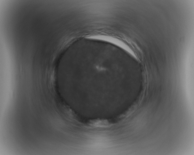 X0000114090517200910051428