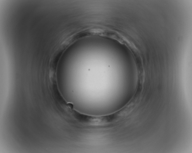 X0000114090521200910051428