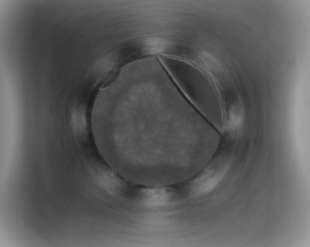 X0000114090524200910051427
