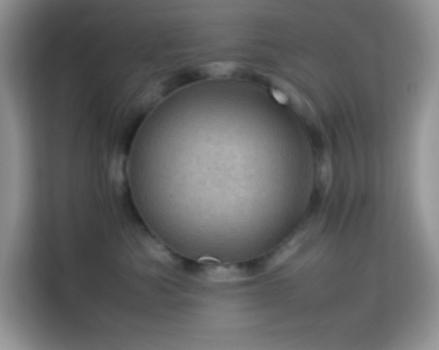 X0000114090525200910051427