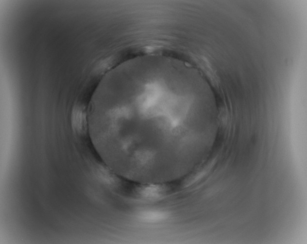 X0000114090527200910051427