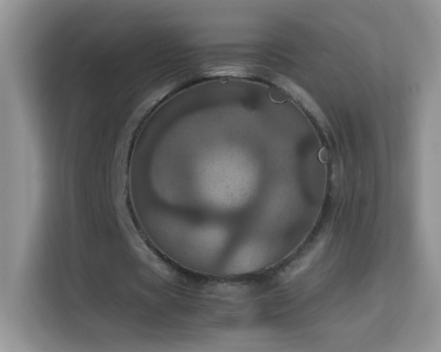 X0000114090529200910051427