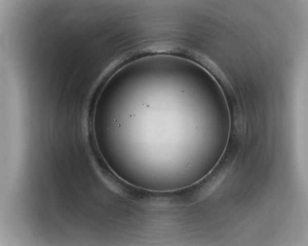 X0000114090530200910051427
