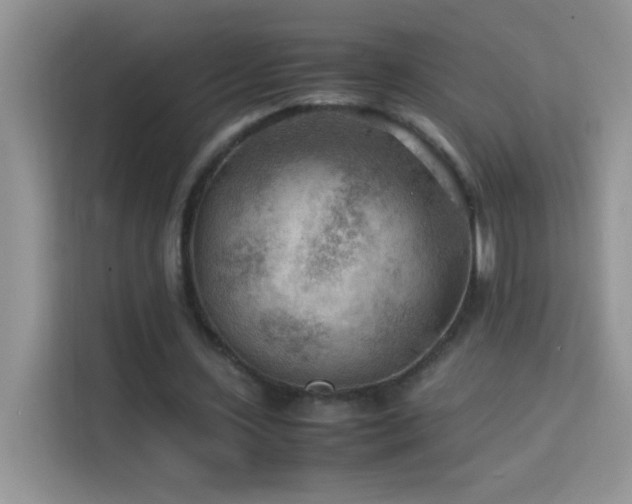 X0000114090531200910051427