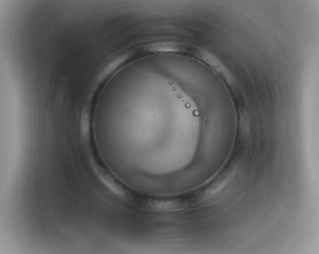 X0000114090533200910051427