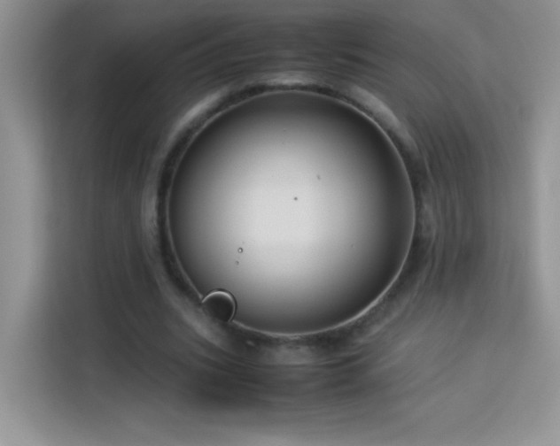 X0000114090535200910051427