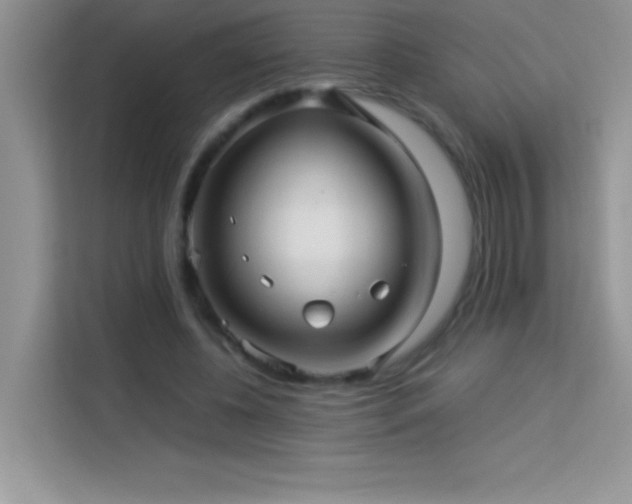 X0000114090540200910051427