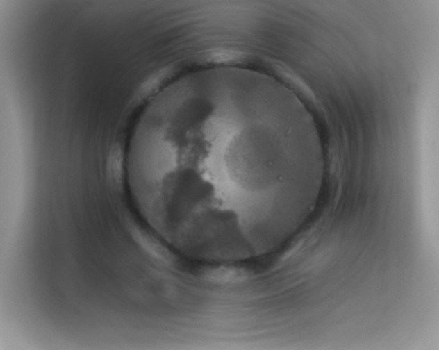 X0000114090542200910051427