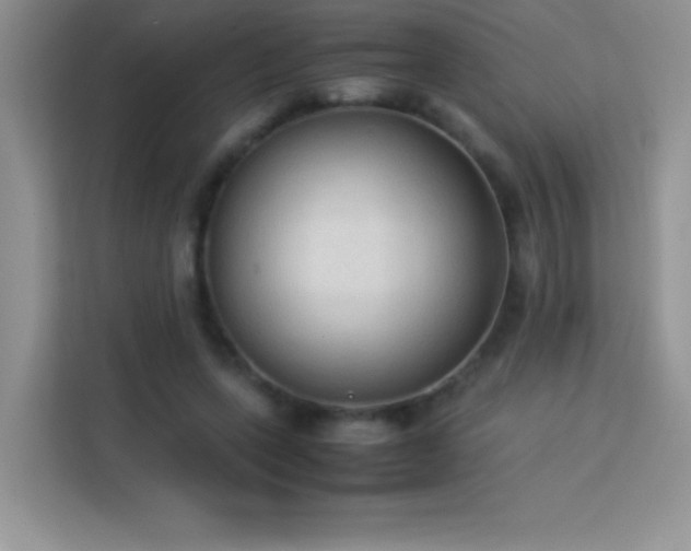 X0000114090543200910051427