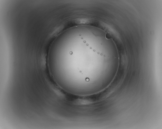 X0000114090545200910051427