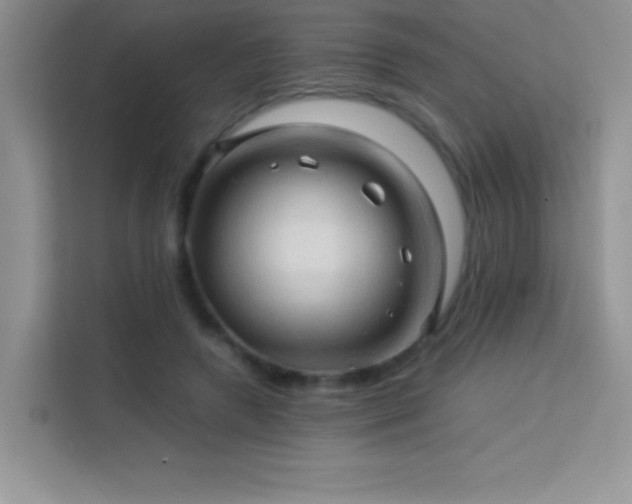 X0000114090546200910051427
