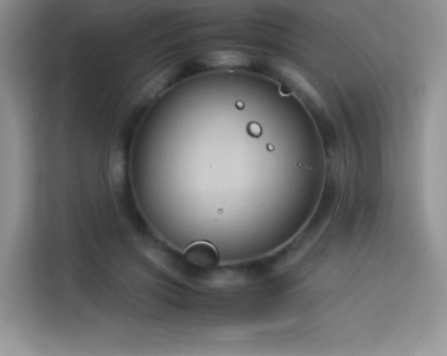 X0000114090549200910051427